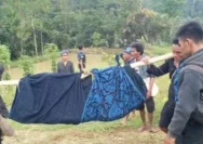 Aksi Heroik Relawan SRI Selamatkan Dua Warga Badui dari Gigitan Ular Berbisa