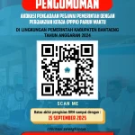 Anggaran Daerah Membatasi Implementasi PPPK Paruh Waktu, Ratusan Pemda Risiko Gagal Penuhi Aturan