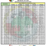 Cara Daftar dan Gaji Manajer Koperasi Desa Merah Putih 2026: Peluang Karier Menjanjikan