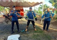 Damkar Kintap Cepat Amankan Sanca Mengancam Pemukiman di Desa Sungai Cuka