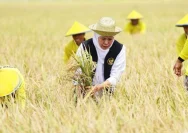 Desa Bulurejo Tingkatkan Ketahanan Pangan Kebumen Lewat Lumbung Padi dan Palawija Subur