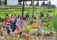 Desa Jatijajar Kebumen Tingkatkan Ekonomi lewat Pertanian Organik dan Wisata Terpadu
