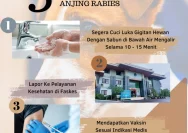 Dinkes Mukomuko Tangani 47 Kasus Gigitan Rabies di Tahun 2026 dengan Langkah Komprehensif