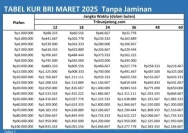 Dividen Jumbo BRI 2025: Angka Rekor, Dampak pada UMKM, dan Peran Strategis Danantara