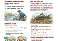 Dosen UNSRI Ungkap Bahaya Konsumsi Ikan Sapu-sapu di Perairan Tercemar: Logam Berat & Risiko Kesehatan
