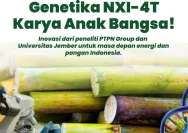 Hilirisasi Perkebunan: Kunci Penguatan Ketahanan Energi Nasional lewat Bioenergi Sawit, Tebu, Jagung, dan Singkong