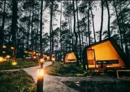 Menginap di Bobocabin Tertinggi: Pengalaman Unik di Bandung