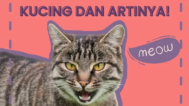 Mengungkap Arti Suara Kucing: Panduan Lengkap Memahami Meong Kesayangan Anda
