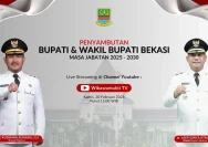Neneng Yasin TikTok: Mantan Bupati Bekasi Kini Aktif Ngonten dan Geluti Bisnis Online