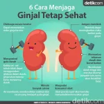Olahraga Ginjal: Cara Sederhana Jaga Fungsi Filtrasi Tubuh Secara Efektif