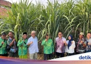 Petani Tebu Blora Tuntut Renovasi PT GMM Bulog dan Reformasi Manajemen, Gerakan ke Jakarta Minta Solusi Giling 2026