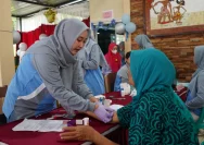 Regulasi Ad Hoc Bidan: Dinkes Tabalong Permudah Akses Obat di Desa