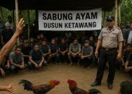 Sabung Ayam Mranggen Kembali Muncul, Warga Desak Penindakan Tegas