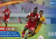 USL Dunkerque Siap Guncang Ligue 2: Analisis Strategi, Transfer, dan Harapan Musim Depan