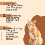Viralnya Kucing Jjaemu di Game Brush Jjaemu: 7 Fakta Menarik yang Bikin Netizen Geger