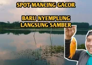 10 Spot Mancing Karawang yang Gacor di Long Weekend: Hasil Muja & Nila Tiap Jam