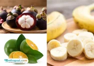 5 Buah Terbaik di Asia Tenggara Menurut TasteAtlas: Indonesia Berada di Urutan Pertama!