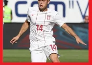 Adem Ljajić: Profil Gelandang Serang Serbia dengan Teknik Tinggi
