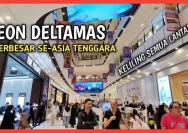 Adidas Outlet AEON Deltamas: Tempatnya Sneaker Limited yang Selalu Tersedia!