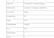 Apa Itu Biodata? Pengertian, Fungsi, dan Contoh