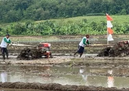 Balap Traktor di Ayutthaya: Tradisi Unik Sambut Musim Tanam Padi