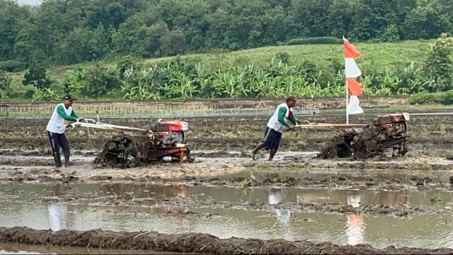 Balap Traktor di Ayutthaya: Tradisi Unik Sambut Musim Tanam Padi