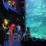 BXSea Bintaro: Destinasi Wisata Edukasi dan Hiburan Keluarga di Liburan Panjang