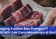 Cara Efektif Menghilangkan Bau Prengus pada Daging Kurban Menurut Pakar IPB