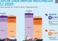 Danantara Sumberdaya Indonesia: Harapan dan Tantangan di Balik Kebijakan Ekspor Tunggal SDA
