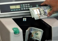 Dolar Dominasi Dagang Afrika: Apa yang Terjadi?