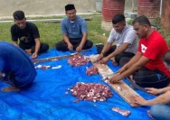 Gerindra Mijen Rayakan Idul Adha dengan Sembelih 17 Kambing dan Bagikan 315 Bungkus Daging