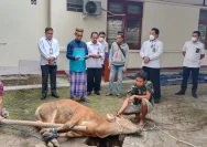 Gotong Royong Warga Desa Sendangdawung dalam Penyembelihan Hewan Kurban di Hari Raya Iduladha
