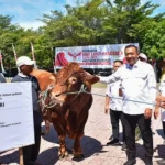Grobogan Menerima Bantuan Sapi Kurban dari Presiden Prabowo