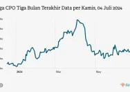 Harga CPO Hari Ini: Turun ke MYR 4.556 per Ton, Apa Pengaruhnya?
