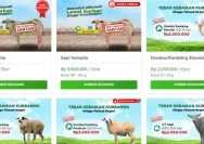 Harga Kambing Kurban 2026 Melonjak Menjelang Idul Adha, Simak Rinciannya!