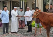 Idul Adha 2026: Stok Hewan Kurban Melimpah, Mari Berbagi Kebahagiaan!