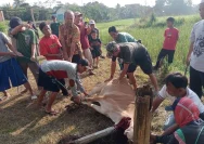 Idul Adha: Momen Kebersamaan dan Solidaritas Warga Rio Temenggung