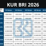 Inilah Tabel Angsuran KUR BRI 2026 untuk Pinjaman Rp25 Juta Terbaru