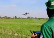 Jawa Tengah Perketat Alih Fungsi Sawah untuk Lindungi Lahan Pertanian
