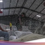 Kapasitas Gudang Bulog Hampir Penuh, Legislator Ingatkan Potensi Kerusakan Beras