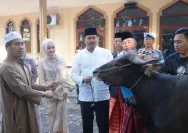 Kapolda Kalsel Pimpin Salat Idul Adha dan Sembelih 159 Hewan Kurban
