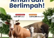 Keamanan Hewan Kurban Jambi Jelang Iduladha 2026: Stok Melimpah dan PMK Terkendali
