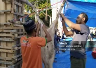 Kepala Desa Pamutih Berikan Sapi dan Kambing Kurban untuk Warga di Idul Adha