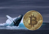 Kepanikan Pasar Bitcoin: Whale Borong Rp1 Triliun di Tengah Ancaman Crash 35%