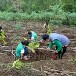 Konservasi Lingkungan di Lereng Muria Jepara: Melibatkan Ribuan Petani untuk Membangun Masa Depan