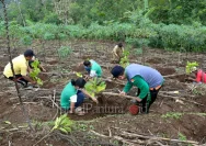 Konservasi Lingkungan di Lereng Muria Jepara: Melibatkan Ribuan Petani untuk Membangun Masa Depan
