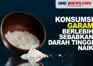 Konsumsi Garam Berlebih: Ancaman Serius bagi Kesehatan Jantung di Malaysia