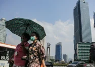 Kota Cork Bergelora: Dari Kasus Kejahatan Terorganisir Hingga Cuaca Panas Memecahkan Rekor