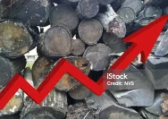 Krisis Energi Global: Kenaikan Harga Bahan Bakar Picu Kerusuhan di Kenya dan Tantangan Energi Berkelanjutan