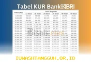 KUR BRI 2026: Peluang Emas Bagi UMKM dengan Plafon Hingga Rp500 Juta